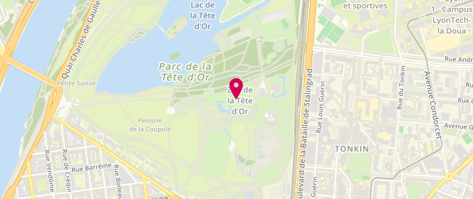 Plan de Piscine éphémère du Parc de la Tête d'Or, parc de la Tête d'Or, 69003 Lyon