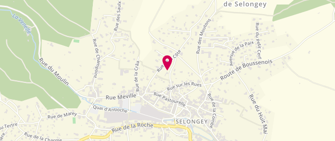 Plan de Piscine municipale, Rue Sainte Anne, 21260 Selongey