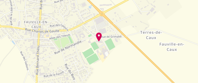 Plan de Piscine municipale, 700 Rue Normandie, 76640 Fauville-en-Caux